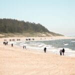 Spacerowicze nad morzem na szerokiej, spokojnej plaży z lasem w tle